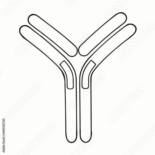 Y-shaped antibody outline for immunology studies and biomedical education with copy space; biological science illustration