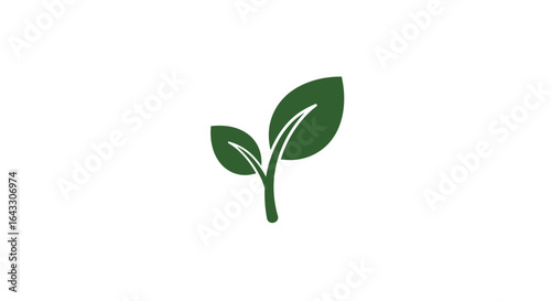 Green young plant growing in soil isolated in pot with fresh leaves and sprout nature growth ecology icon
