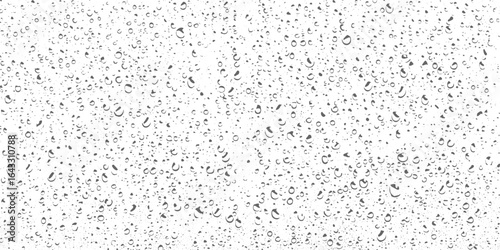 rain drops on window, water droops Overlay Texture Design. Black and white black grunge dust noise texture vector design and transparent background