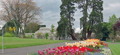 Fotografía Vibrant tulips and  flowers bloom in the foreground of Dublin’s National Botanic