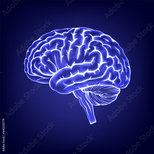 Vector illustration, digital concept of anatomy, glowing blue polygon brain x-ray with neon light effects, neural networks, futuristic technology, innovative thinking