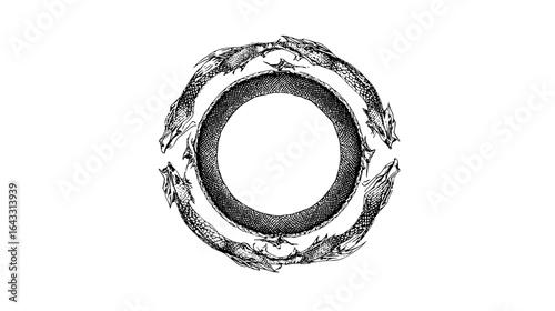 Barbed Wire Circle Isolated on Background