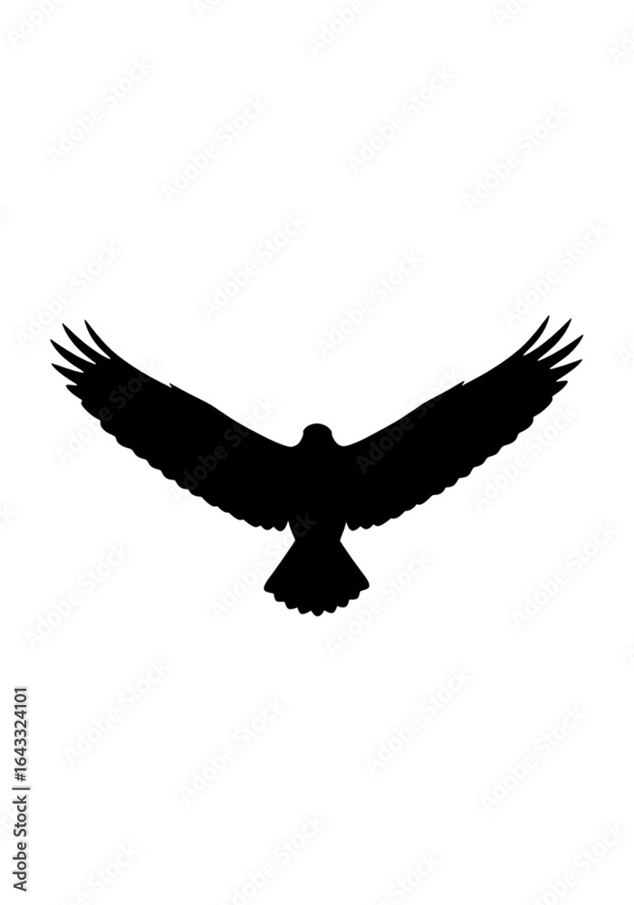 Fototapeta premium Bird Flying with Wings Spread Black Silhouette Illustration PNG Cut Out.