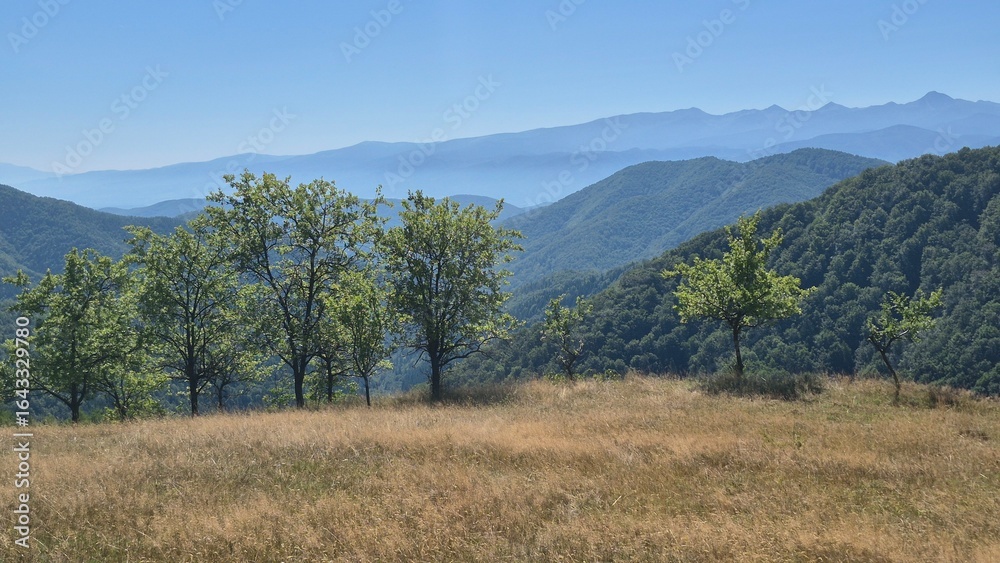 Fototapeta premium autumn in the mountains