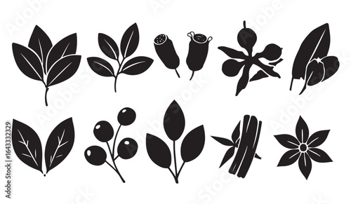 black and white silhouette vector set of indian herbs and spices