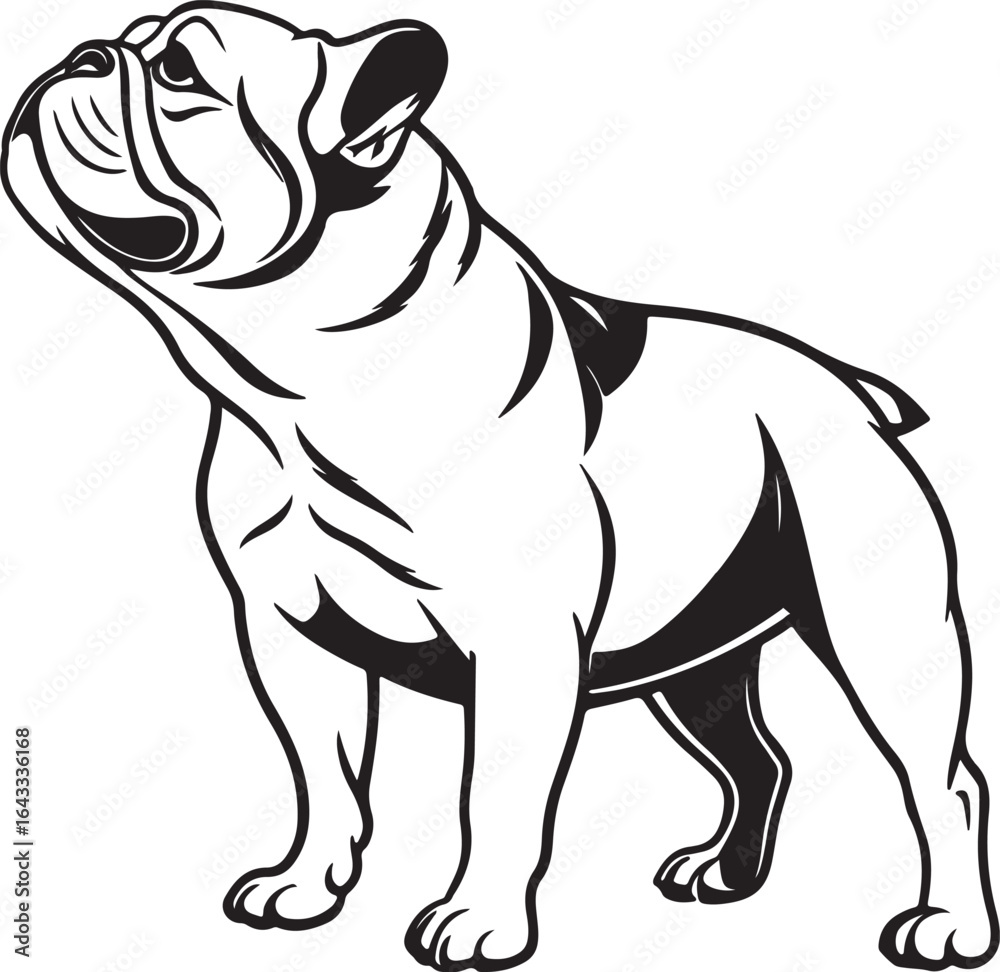Obraz premium Bull dog vector art silhouette image