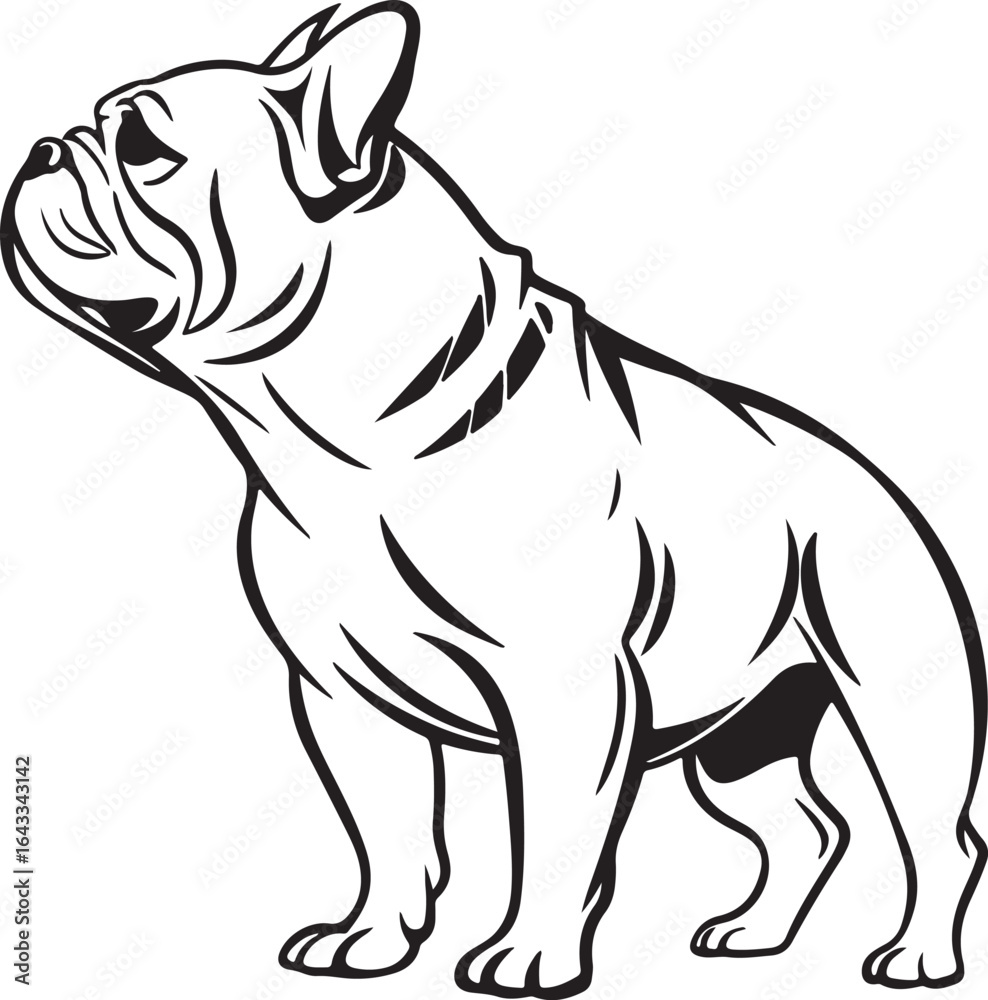 Fototapeta premium Bull dog vector art silhouette image