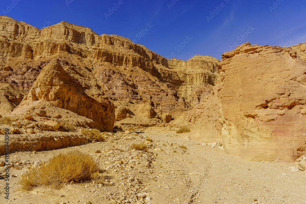 Fototapeta premium Rock formations and landscape, in Timna desert park