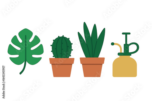 Plant care essentials displayed with a variety of houseplants in simple pots and a watering tool on a clean background