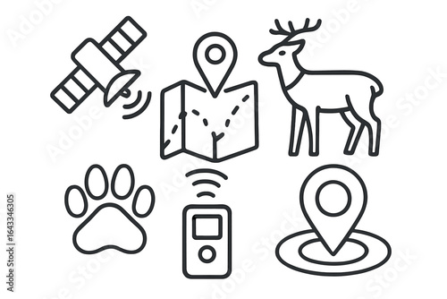 Tracking wildlife using satellite technology and modern mapping tools for better conservation efforts in nature reserves