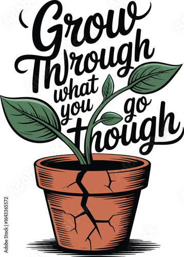 Inspirational quote about growth and resilience with a plant in a cracked pot T Shirt Design