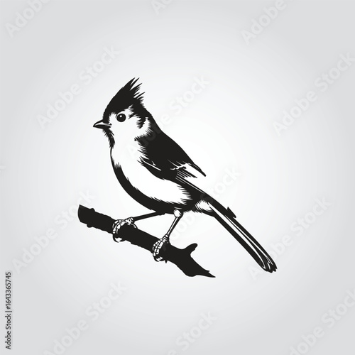 Black and white illustration of a tufted titmouse on a branch