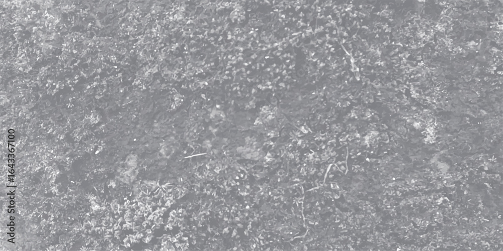 Obraz premium Abstract aerial view of a natural landscape in monochromatic tones depicting a patterned surface with textural complexity