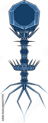 Bacteriophage virus illustration, detailed vector graphic of bacteriophage structure for microbiology, science, medical research, infection, and education design