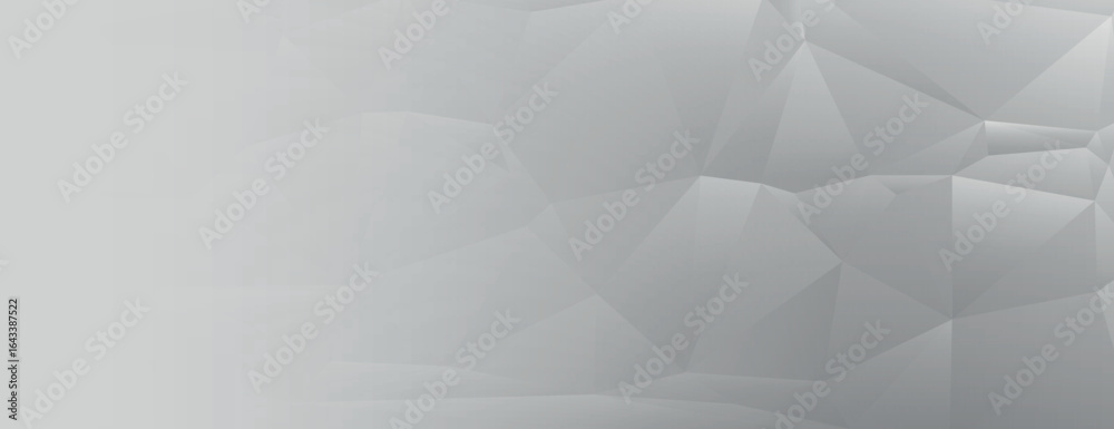Fototapeta premium Geometric background with a gray background and polygonal texture. The background is smooth and modern with a gray color scheme. Modern abstract geometric minimal background vector