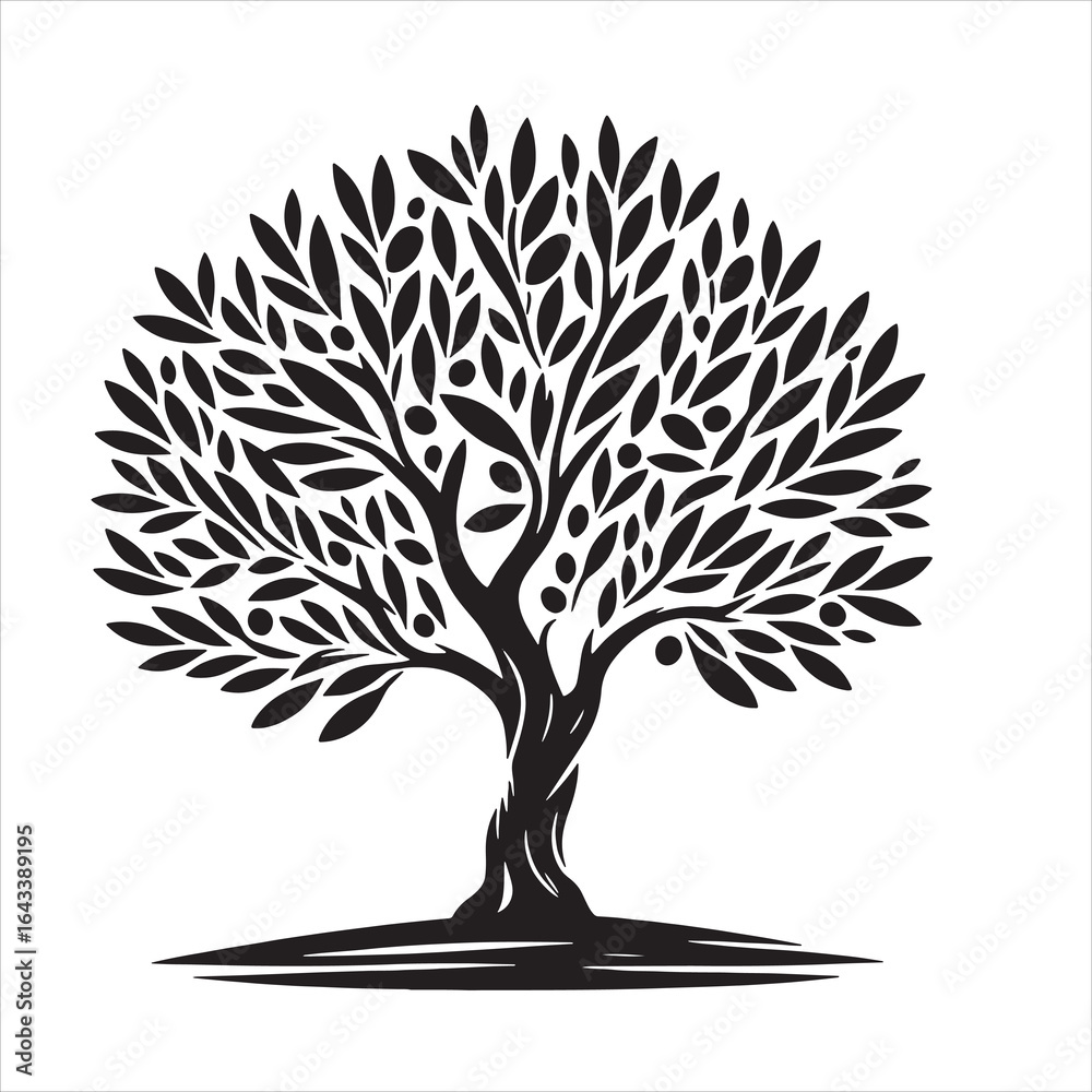 Naklejka premium Olive tree