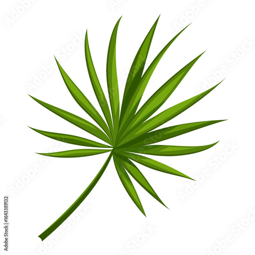 Vibrant green tropical palm leaf for summer design concepts