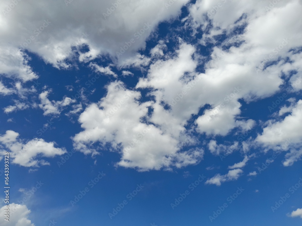 Naklejka premium blue sky with cloudsCumulus clouds are scattered, lumpy and generally resemble cotton piles. These clouds are generally heralds of fine weather and storm clouds (cumulonimbus) that can bring rain when