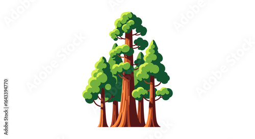 A Serene Stand of Redwood Trees with Lush Green Canopy, Flat Vector