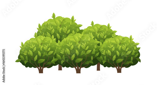 Lush Green Bushes Vector Illustration for Park Design and Garden Decor