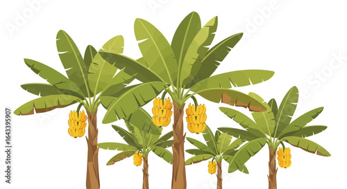 Stylized banana trees with bunches of ripe bananas on a white surface