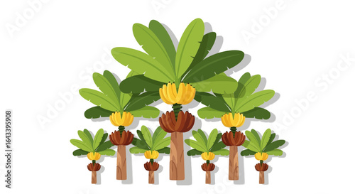 Stylized Banana trees illustration in a tropical fruit farm scenery concept