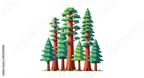 Stylized illustration displaying grove of redwood trees on a plain backdrop