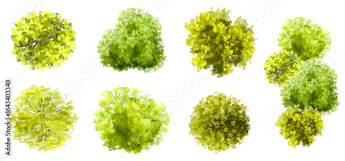 Vector set of Top view green tree for outdoor plan or map and architecture drawing, elements for environment and garden ,botanical elements ,Blooming flowers in spring,tropical plants element