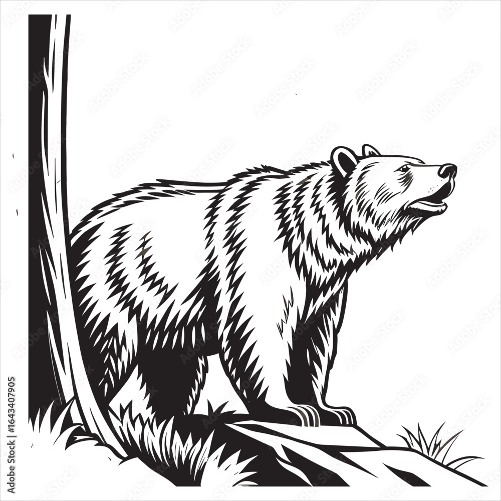 Fototapeta premium grizzly-bear-vector