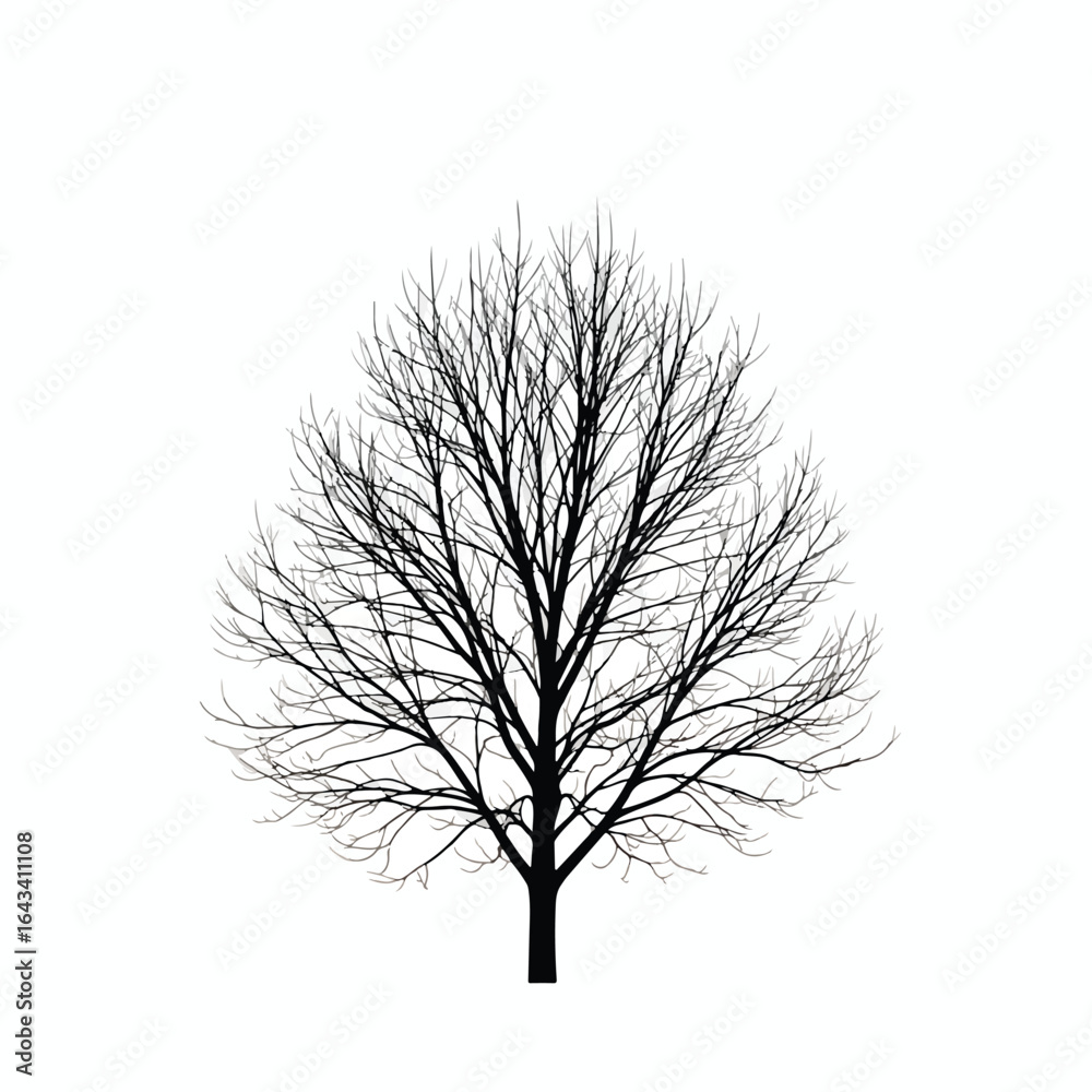 Obraz premium Silhouette of a bare tree against a stark, white background, showcasing intricate branches.