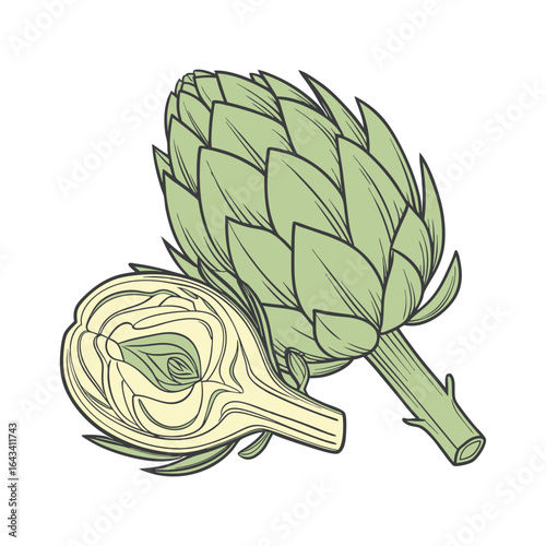Sketch of artichoke in color. Hand drawn botanical illustration.