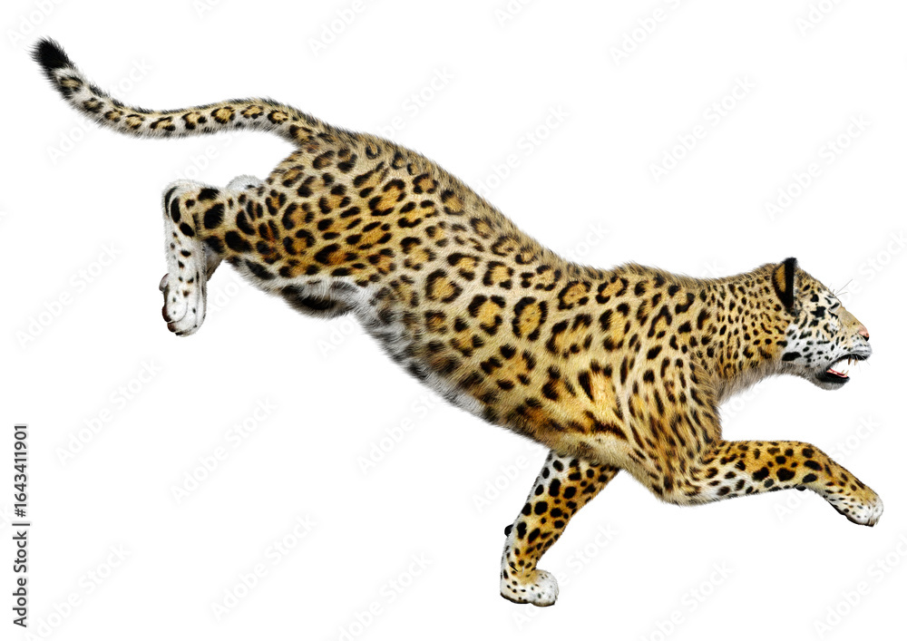 Fototapeta premium 3D Rendering Big Cat Jaguar on White