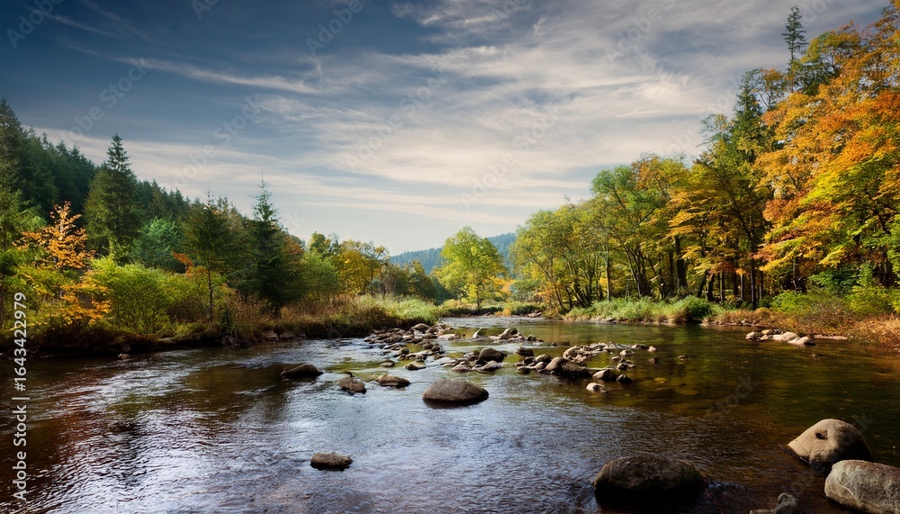 Obraz premium forest river in early autumn