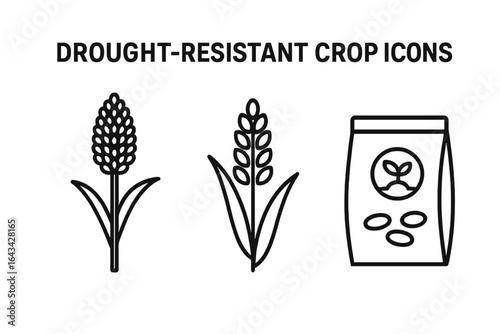 Drought-Resistant Crop Icons Set, Outline Vector of Sorghum Stalk, Millet Ear, Seed Packet, Agriculture Symbols, Farming, Sustainable Crop Cultivation, Food Security
