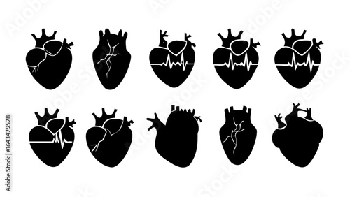 Black anatomical heart with veins blood vessels human body
