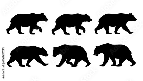 Black bear silhouette on a white background animal