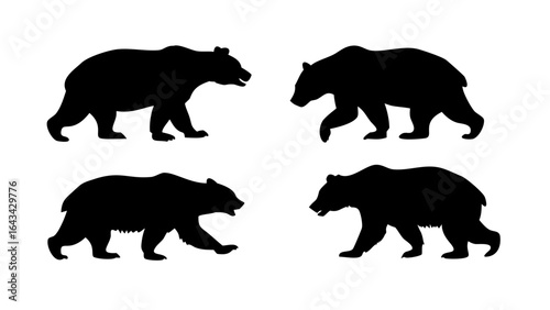 Black bear silhouette on a white background animal