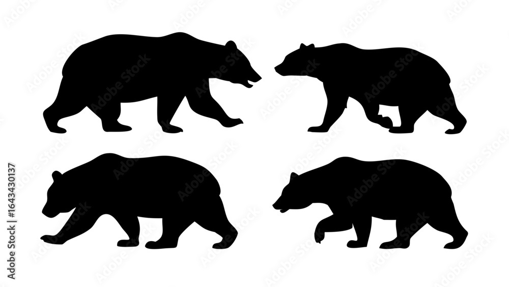 Fototapeta premium Black bear silhouettes standing and walking animal