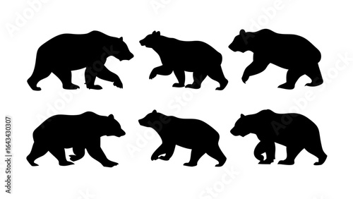 Black bear standing on hind legs Ursus americanus silhouette