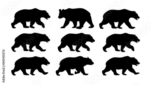 Black bear standing on white background silhouette