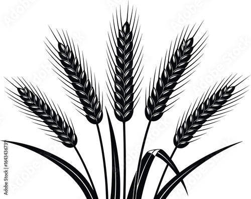 Wheat ears illustration black and white grain harvest vector art
