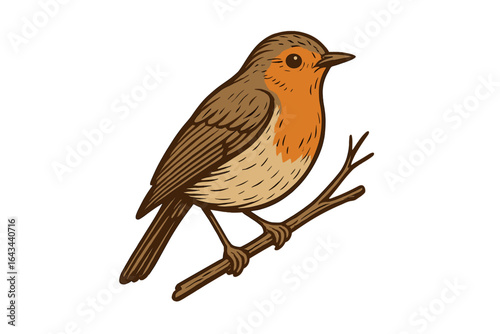 Cute robin bird on a branch. Vintage style vector illustration. Isolated wildlife graphic for nature lovers, ornithology, and birdwatching themes. Hand-drawn animal design.
