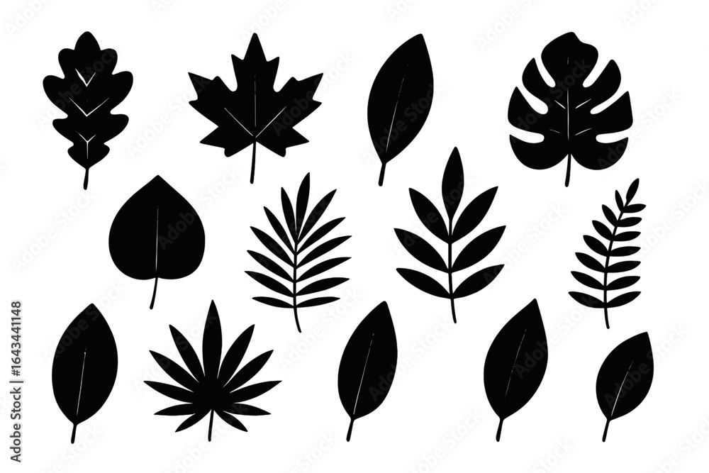 Fototapeta premium Leaf silhouettes vector collection. Set of black plant shapes. Graphic icons of oak, maple, monstera, fern, and tropical palm leaves for nature and eco design concepts.