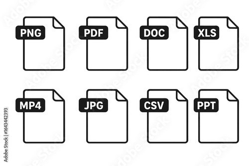 File format line icon set. Document type vector symbols collection. Includes PDF, DOC, XLS, PPT for text, CSV for data. Image formats PNG, JPG and video MP4.