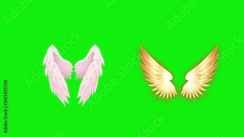 Angel birds flying wings animation video green screen.