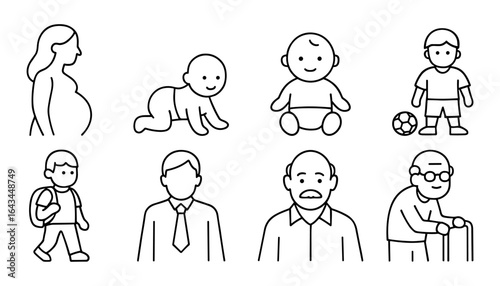 Life stages and ages icons set ,pregnancy, baby, child, adult, elderly.Vector