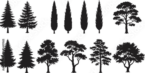Tree silhouette bundle, pine, cypress, oak tree vector, black forest shapes, botanical clipart, landscape design elements, nature tree collection