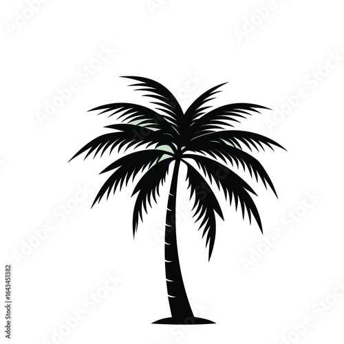 Palm Tree Silhouette Vector
