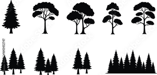 Tree silhouette icons, pine, forest, woodland, nature, botanical, evergreen, deciduous, black vector design, plant symbols, isolated illustration set