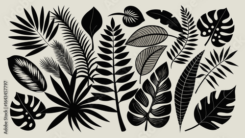 Vector art of a collection of various tropical leaves and foliage in a black and white illustration, showcasing different shapes and textures of jungle plants on a neutral background